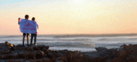Banner knn 200 x 90 px 2025 gif
