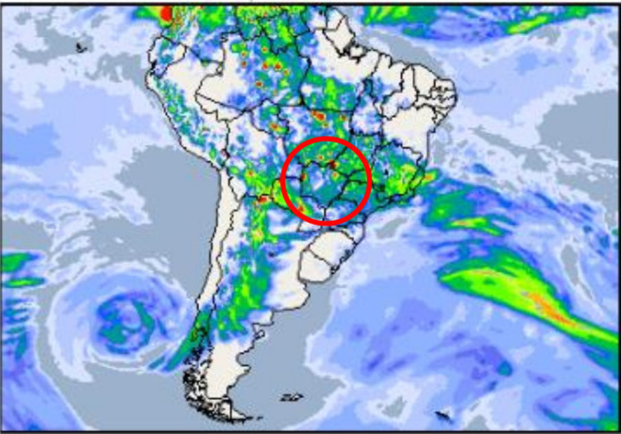 Center aedes dengue zika