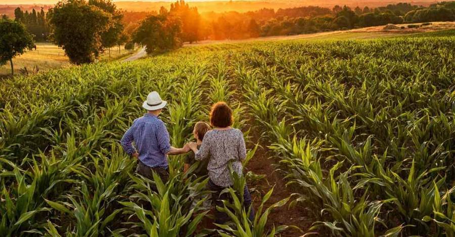 Center agricultura familiar capa