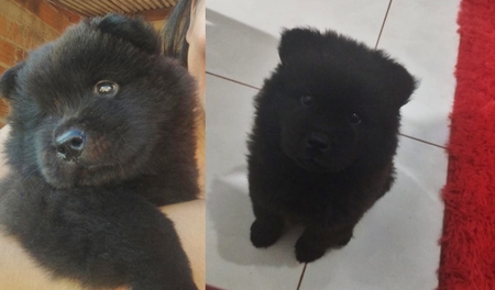 Left or right 4