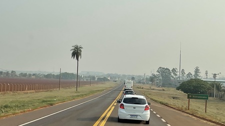 Left or right algemas3