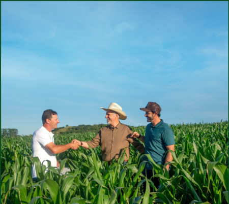 Left or right sicredi divulga o